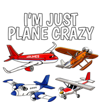 I'm Just Plane Crazy Aviation Gifts For Aircraft Pilots Sweatshirt