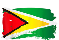 Guyana Flag Paint Style T-Shirt