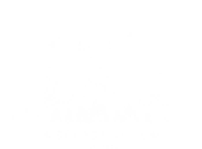 Wyoming The Cowboy State Est 1890 Vintage Mountains Gift T-Shirt