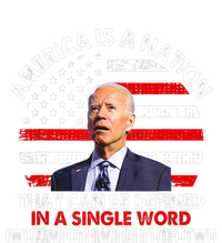 America Is A Nation That Can Be Defined In Single Word Biden T-Shirt