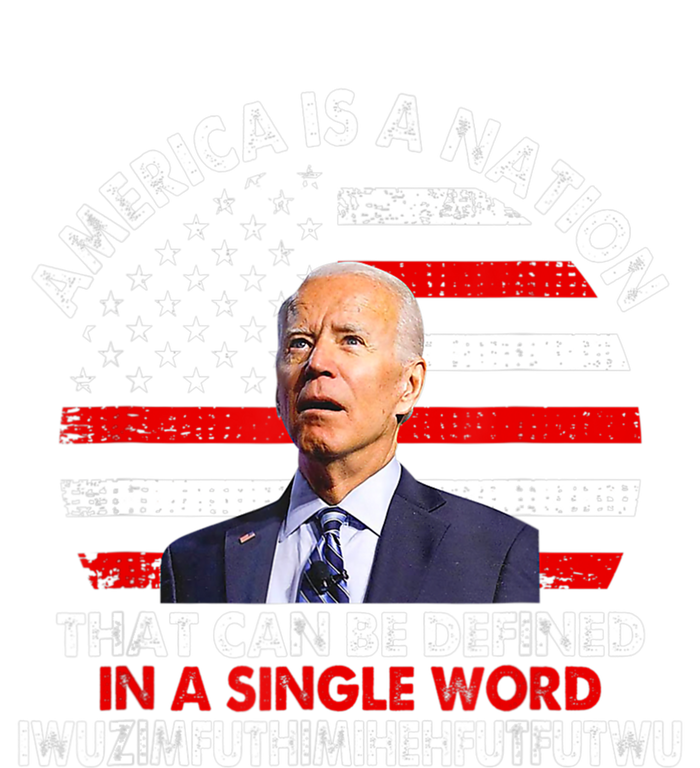 America Is A Nation That Can Be Defined In Single Word Biden T-Shirt