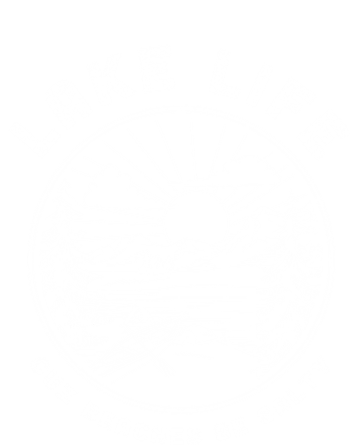 Lake Life Cuz Beaches Be Salty Retro Vintage Lake Mode Gift V-Neck T-Shirt