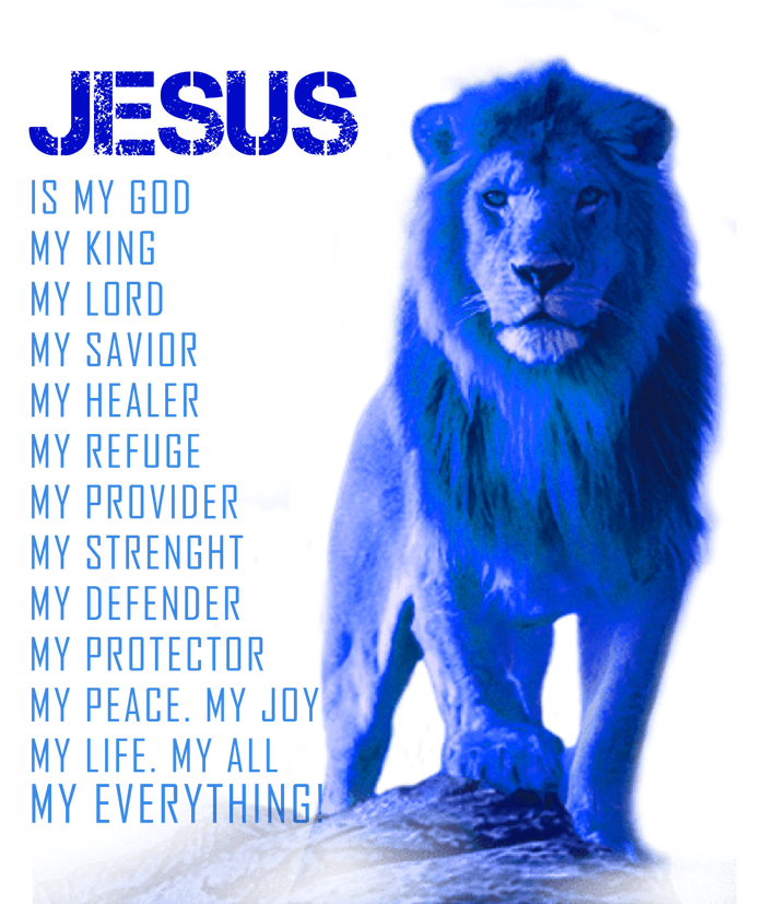 Jesus Is My Everything Quote Lion Christianity Premium Hoodie