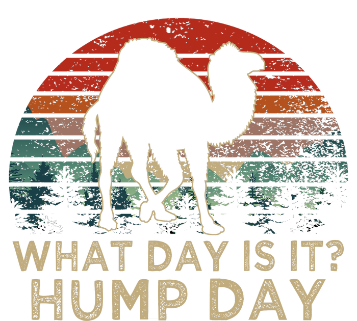 What Day Is It Hump Day Women's Fleece Hoodie