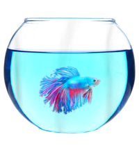 Glass Bowl Betta Fish Cooling Performance Crew T-Shirt