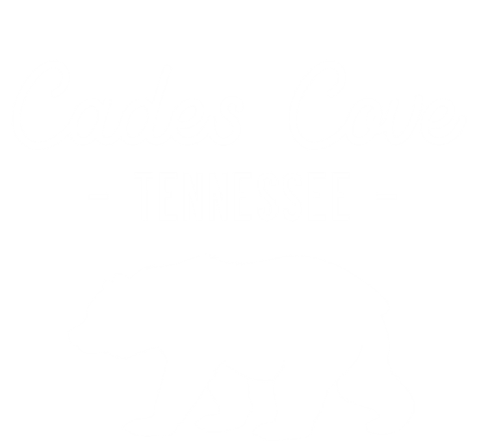 Cades Cove Bear Retro Tennessee Great Smoky Mountains Meaningful Gift T-Shirt