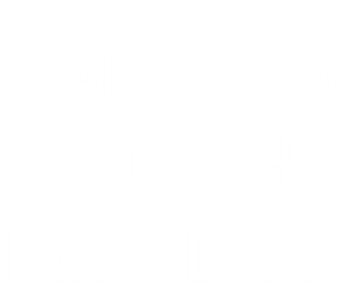 I Came I Saw I Forgot What I Was Doing Sarcastic Tee Gift Tall T-Shirt