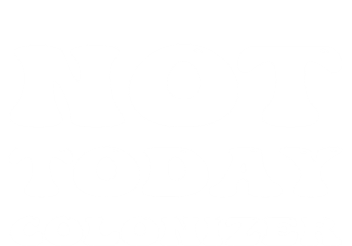 Not Today Colonizer Funny Indigenous Native American Gift Ladies Essential Tank