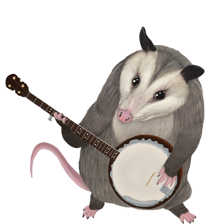 Opossum Playing The Banjo Gift Possum Gift Kids Hoodie