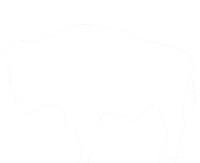 Wyoming Bison T-Shirt