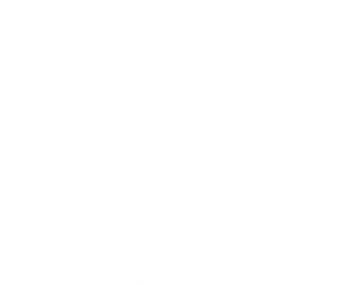 Wyoming Bison T-Shirt