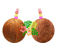 Coconut Bra Hawaii Luau Costume Funny Women's T-Shirt