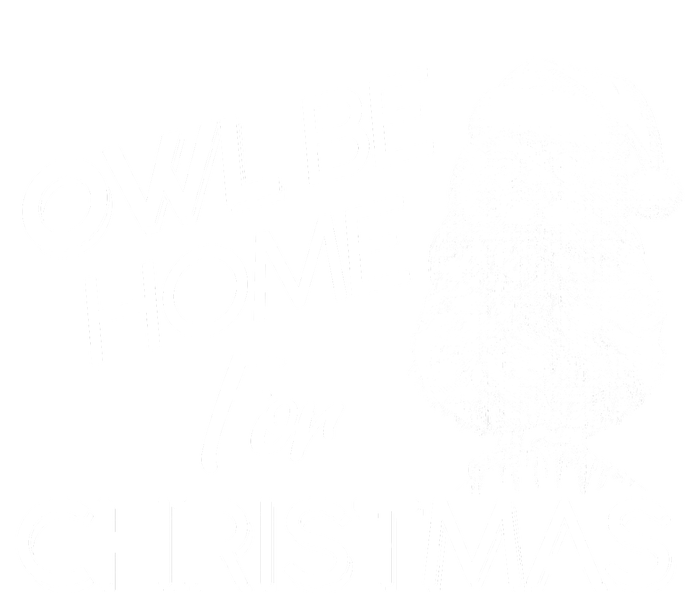 Funny OWL Be Home For Christmas Sweatshirt