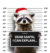 Dear Santa I Can Explain Funny Christmas Raccoon Meaningful Gift Kids Long Sleeve Shirt