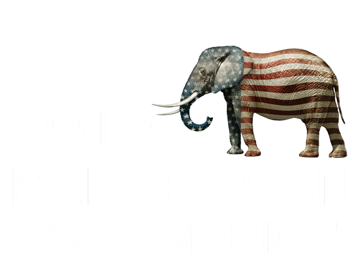 Vote Republican Save America Premium Hoodie