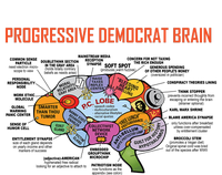 Progressive Democrat Brain Diagram Funny Flat Bill Trucker Hat