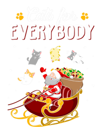 Cats For Everybody Cat Christmas Ugly Christmas Gift Women's Tri-Blend 3/4-Sleeve Raglan Shirt