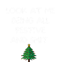 Funny Christmas Look At Me Being All Festive And Shit Ladies Long Sleeve Shirt