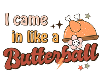 Thanksgiving Puns I Came In Like A Butterball Funny Turkey Poster