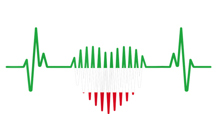 Heartbeat Design Iranian Flag Iran T-Shirt