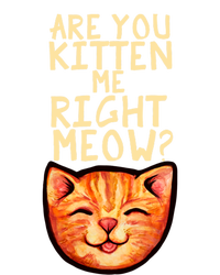 Are You Kitten Me Right Meowy Funny Orange Gift T-Shirt