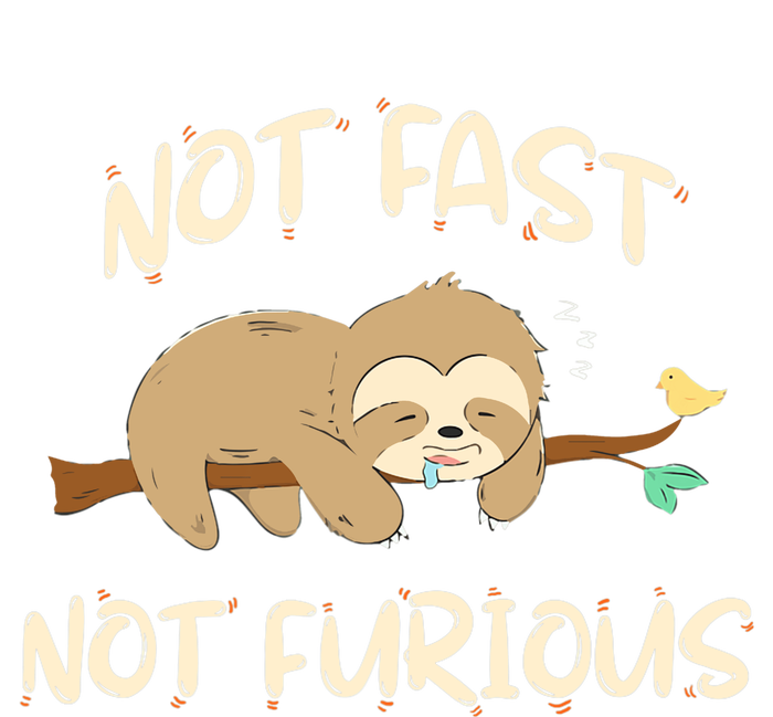 Sloths Not Fast Not Furious Cute Sleeping Sloth Lover Premium T-Shirt