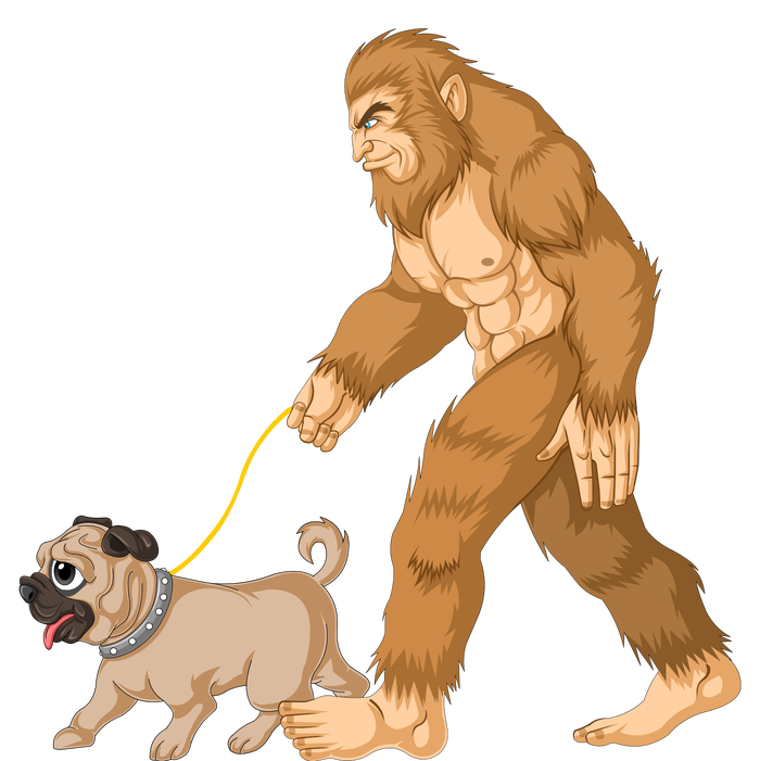 Bigfoot Walking Pug Dog T-Shirt