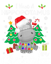 Funny I Want A Hippopotamus For Christmas Xmas Hippo For Gift T-Shirt