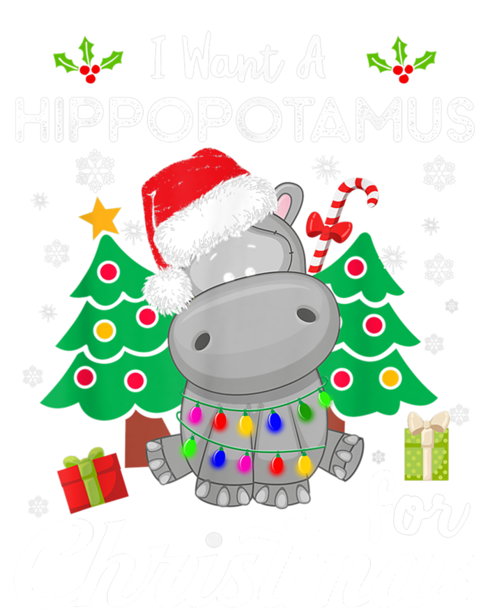 Funny I Want A Hippopotamus For Christmas Xmas Hippo For Gift T-Shirt