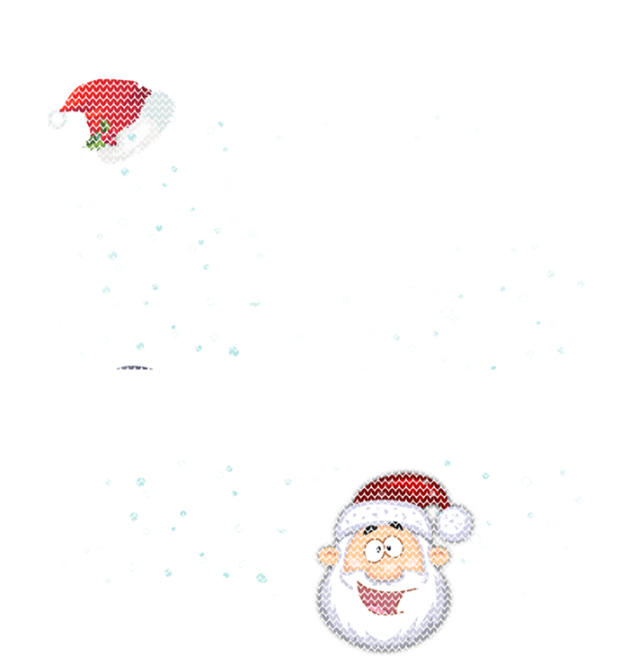 Santas Favorite Ho Funny Christmas Gift T-Shirt