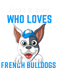 Just A Boy Who Loves French Bulldogs Youth Performance Sprint T-Shirt