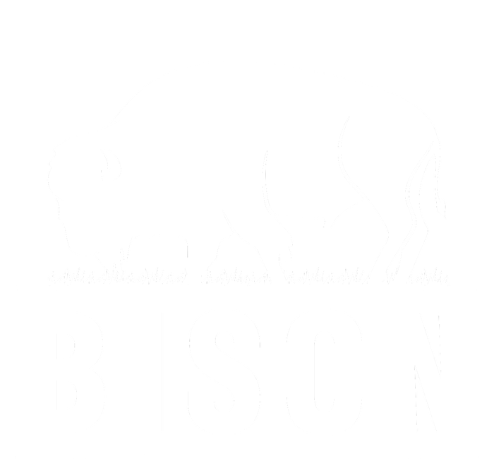 Simple Bison Logo T-Shirt