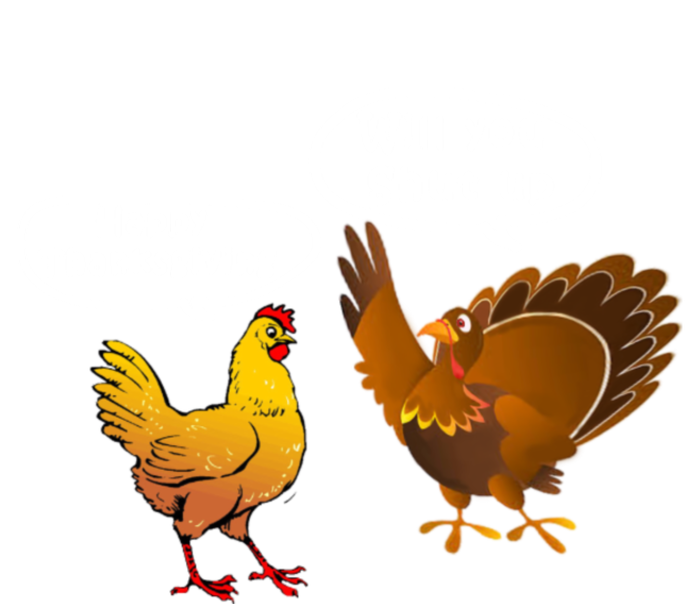 Funny Thanksgiving Chicken Vs Turkey Valucap Bio-Washed Visor