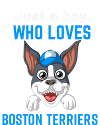 Just A Boy Who Loves Boston Terriers Toddler Hoodie