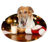 Santa Milk N Cookies Dog Borzoi Gift Women's V-Neck T-Shirt