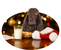 Santa Milk N Cookies Dog Field Spaniel Cute Gift T-Shirt