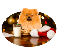 Santa Milk N Cookies Dog Pomeranian Cool Gift Women's Racerback Tank