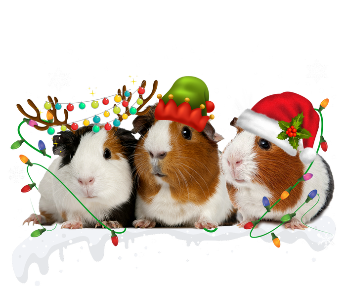 Guinea Pigs With Christmas Lights And Santa Hat Cute Xmas V-Neck T-Shirt