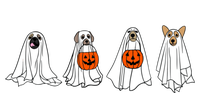 Funny Spooky Season Retro Jackolantern Ghost Dog Halloween Cute Gift Premium Hoodie