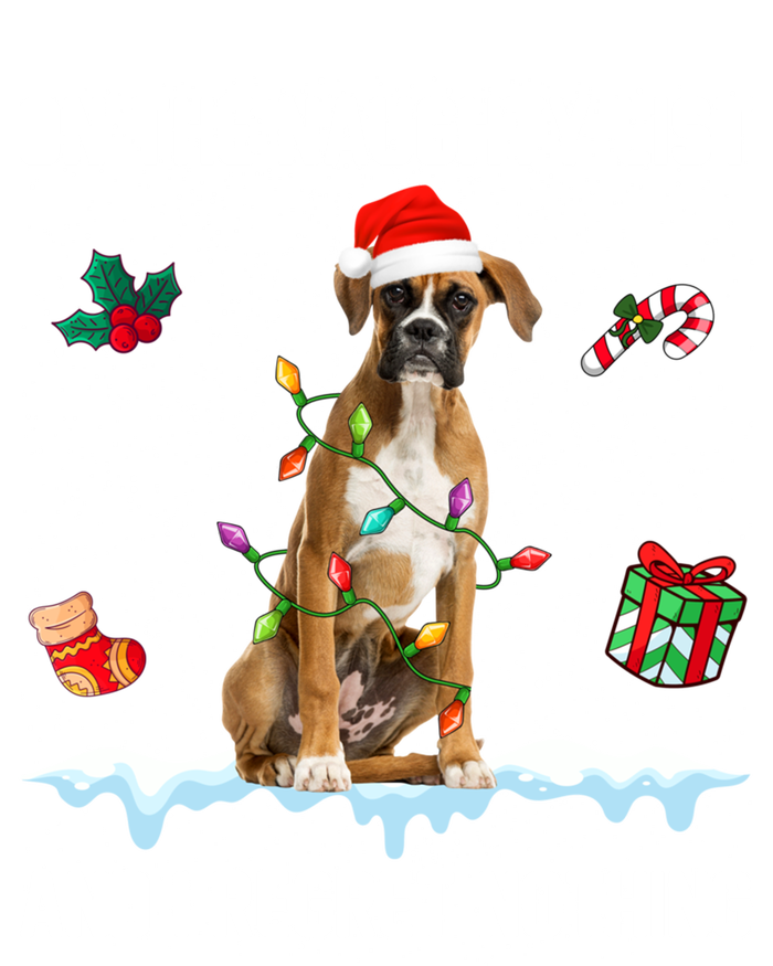 Christmas Boxer Dog Naughty List And I Regret Nothing Xmas Gift Women's V-Neck T-Shirt