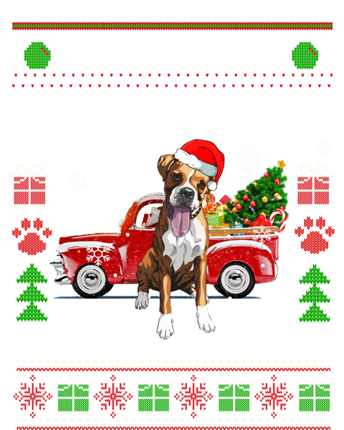 I Want A Boxer For Christmas Ugly Sweater Dog Xmas Outfit Gift Women's Tri-Blend 3/4-Sleeve Raglan Shirt