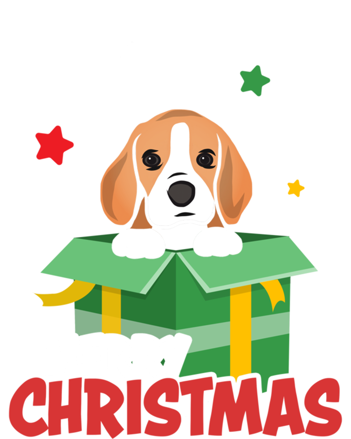 Cute Beagle Santa Dog Lovers Merry Christmas Xmas Design Gift Women's Long Sleeve Flannel Pajama Set 