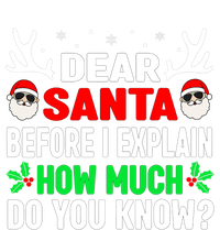 Funny Christmas Shirts Adults Dear Santa I Can Explain Women's T-Shirt