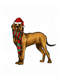 Santa Hat Xmas Brown Great Dane Ugly Christmas Gift Coaster