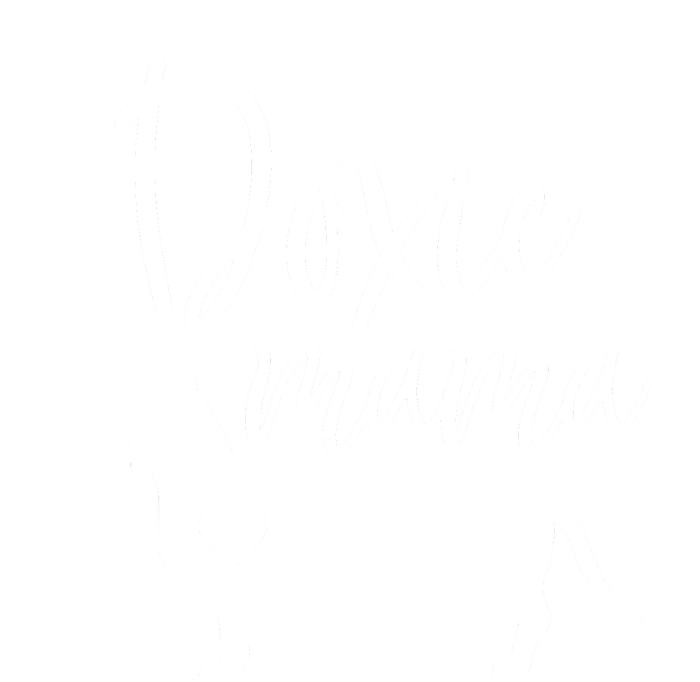 Doxie Mama Dachshund Mom Funny Wiener Dog Gift Coaster