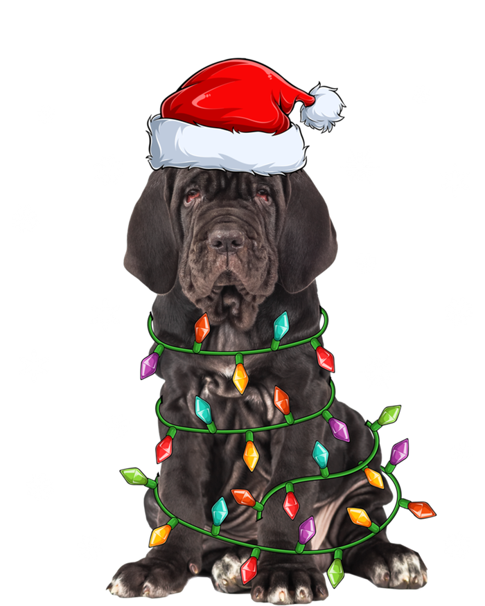 Cane Corso Dog Xmas Lighting Santa Hat Cane Corso Christmas Funny Gift Sweatshirt