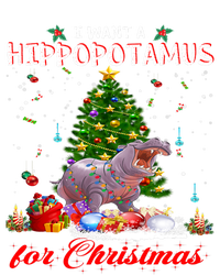 I Want A Hippopotamus For Christmas Xmas Hippo For Gift Striped Beanie with Solid Band