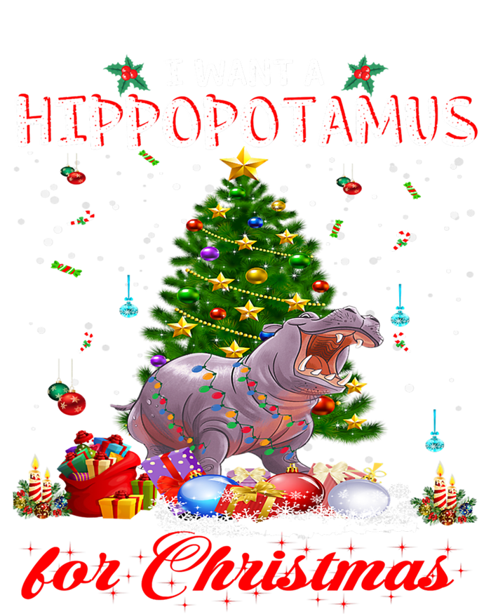 I Want A Hippopotamus For Christmas Xmas Hippo For Gift Striped Beanie with Solid Band