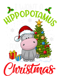 I Want A Hippopotamus For Christmas Xmas Hippo Meaningful Gift T-Shirt