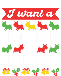 I Want A Hippopotamus For Christmas Xmas Hippo Gift Kids Long Sleeve Shirt